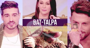 bat-talpa