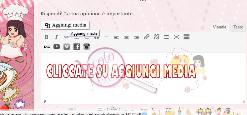 Immagine13