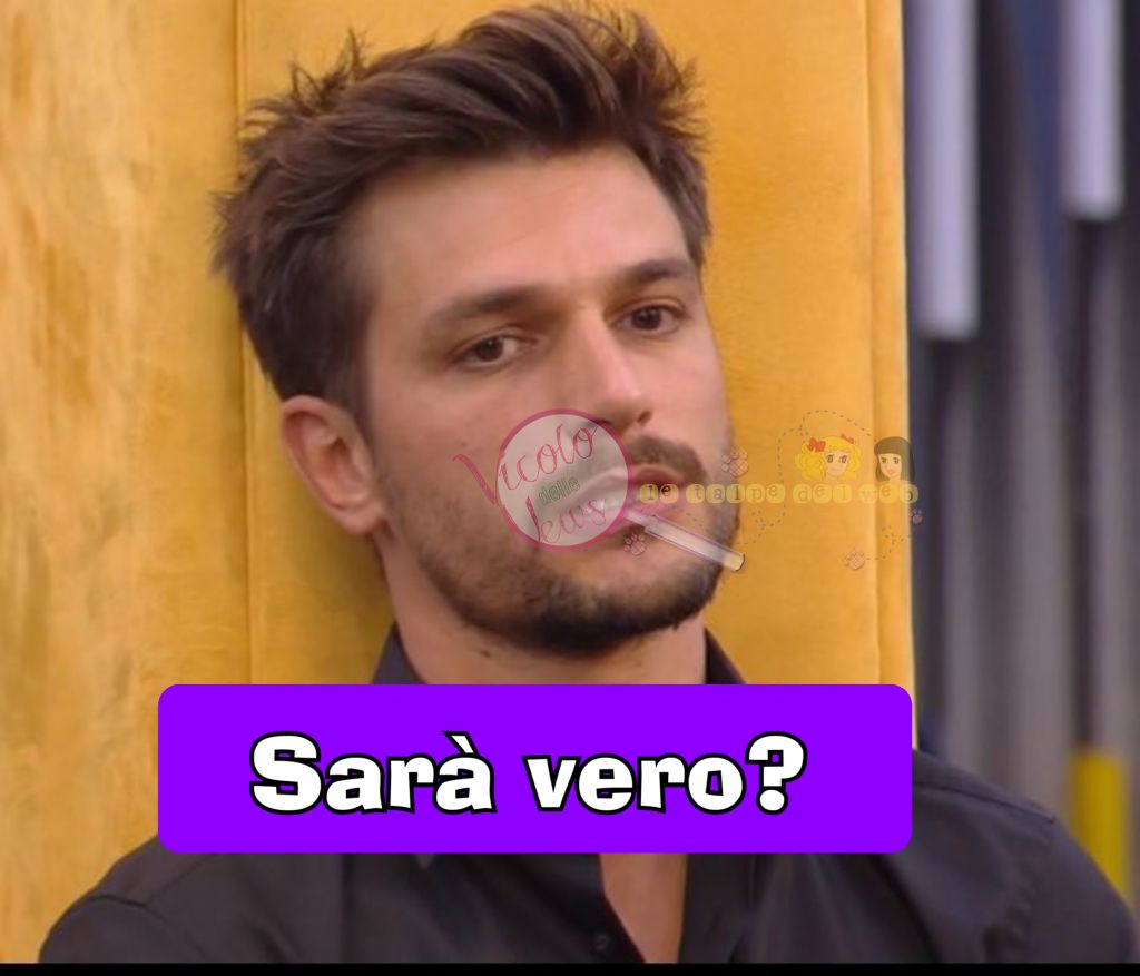 Andrea Zelletta grande fratello vip